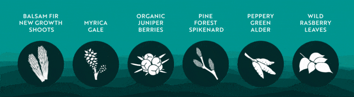 Km12 Botanicals
