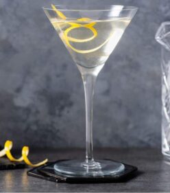 Cirka Vodka - Martini Terroir